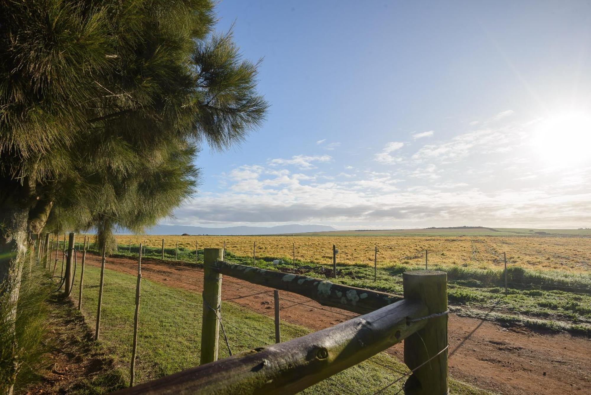 Oorvloed Guesthouse Swellendam Eksteriør bilde